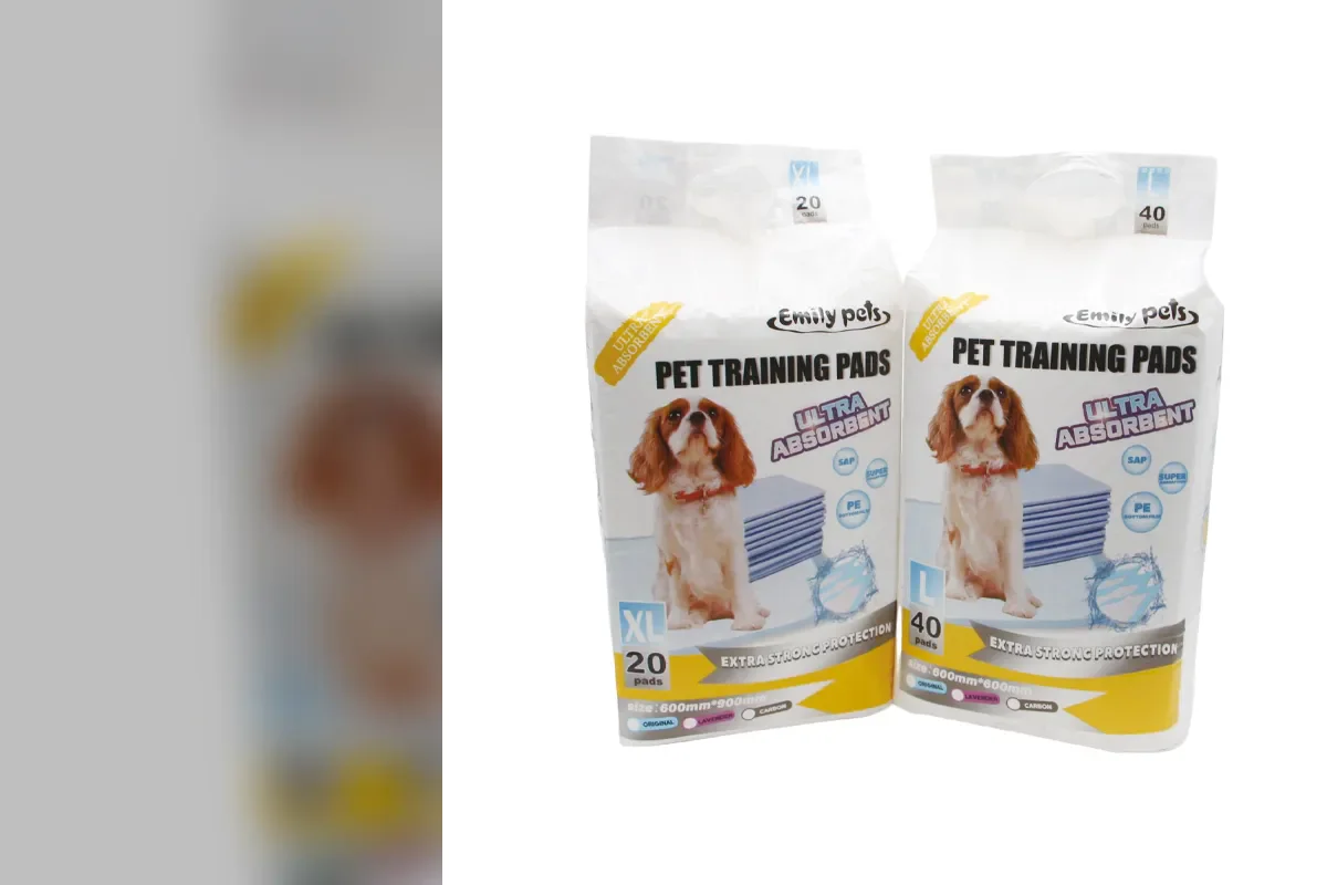 Produktansicht der Hunde-Trainingsunterlagen